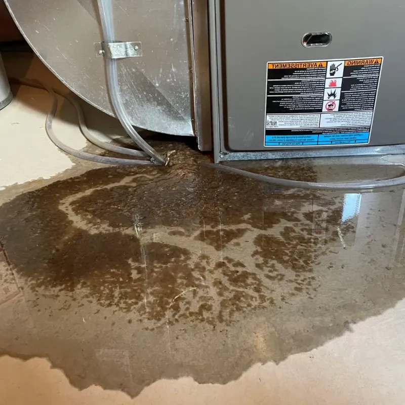 Pipe Burst and Leak Restoration in Wellsville, KS
