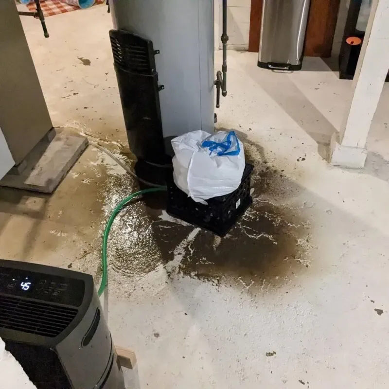 Sewage Backup Cleanup Service in Wellsville, KS